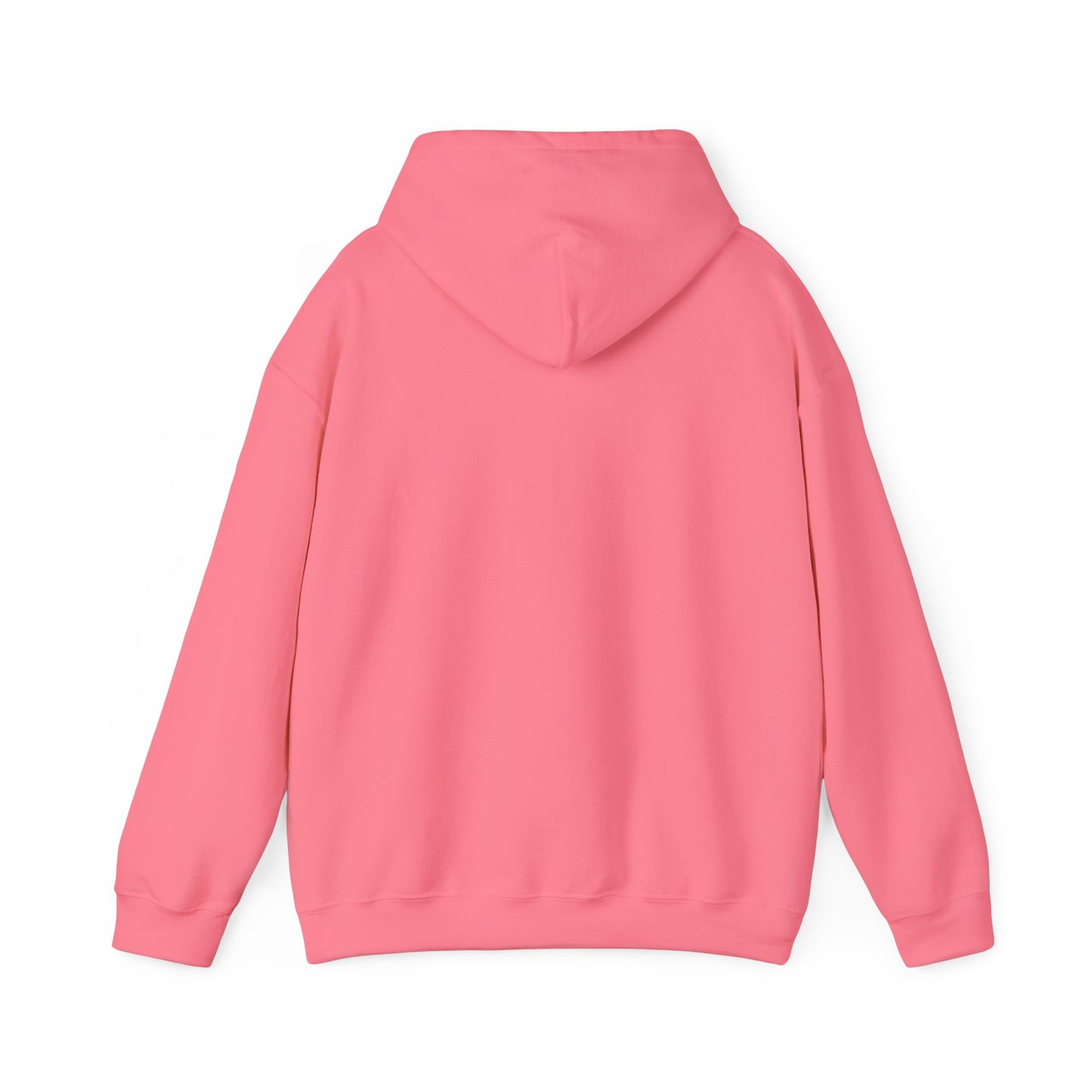 STOP BEING SUCH A MEATBALL – Funny Unisex Hoodie | Heavy Blend™ Fleece Pullover & Roast Gift