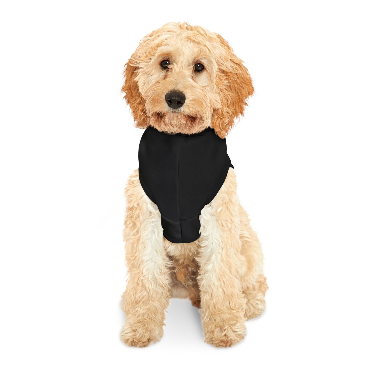 IN A WORLD FULL OF PASTA, BE A MEATBALL – Funny Dog Hoodie | Cute Custom Pet Apparel for Small & Large Dogs