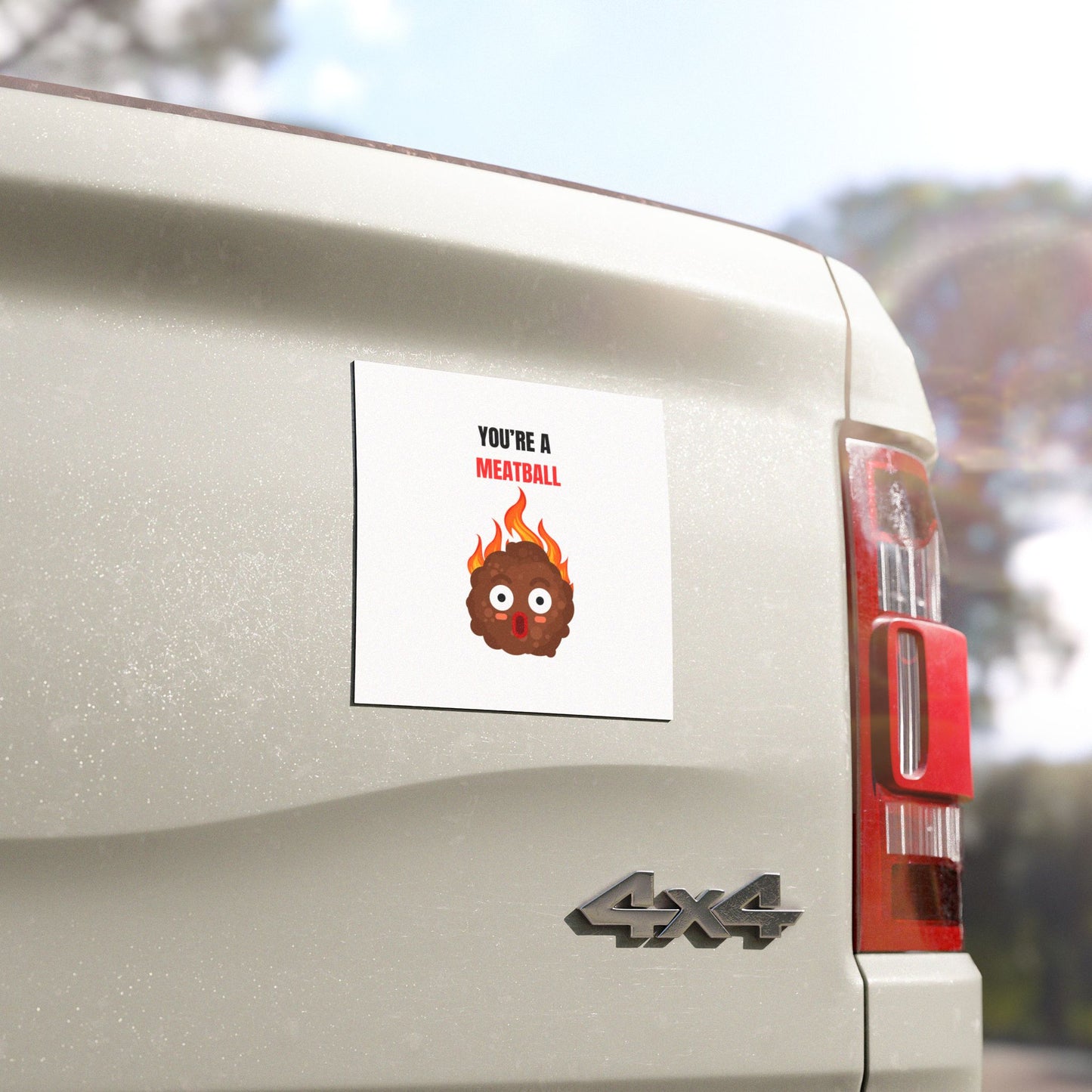 YOU'RE A MEATBALL – Funny Car Magnet | All-Weather Roast Gift for Drivers
