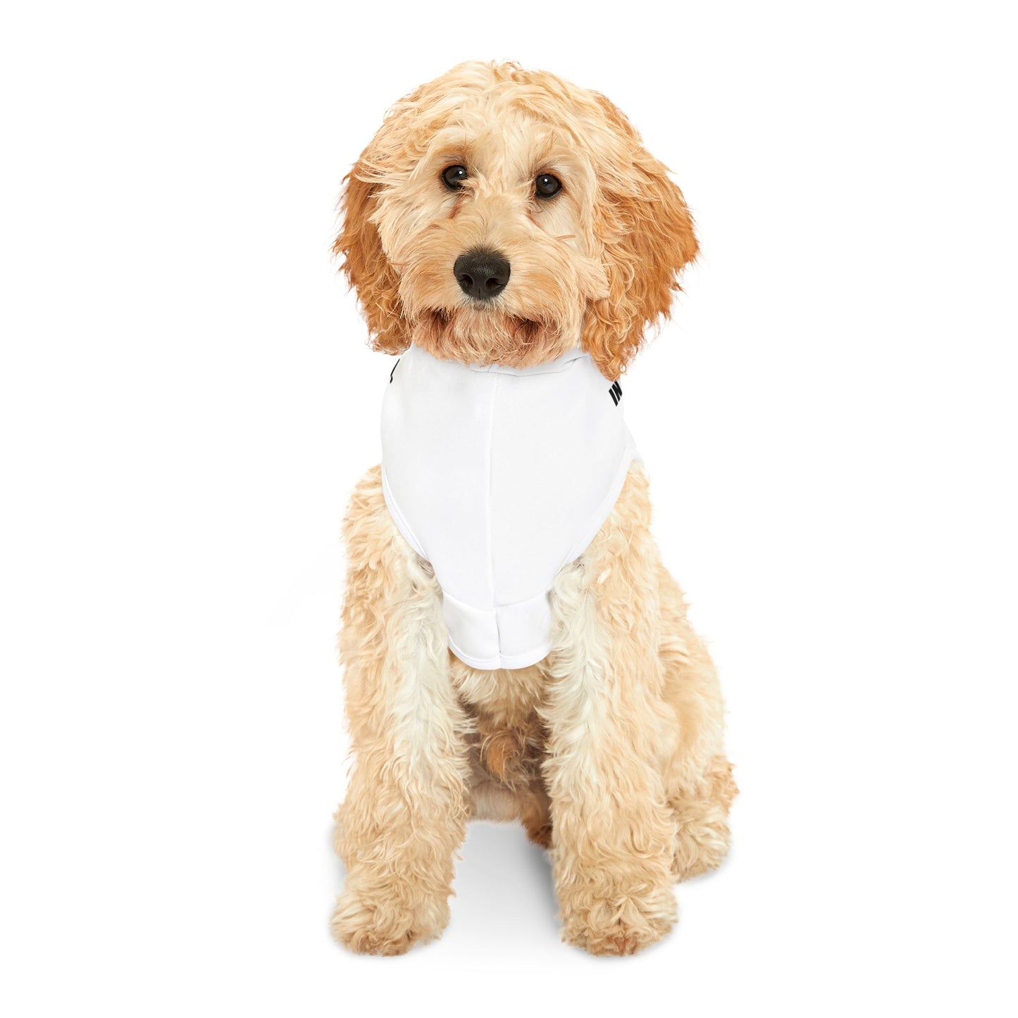 IN A WORLD FULL OF PASTA, BE A MEATBALL – Funny Dog Hoodie | Cute Custom Pet Apparel for Small & Large Dogs